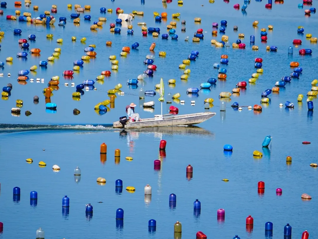 ec06f34c4db8cd6cc2a8a42e5aaf7775-sz_404610