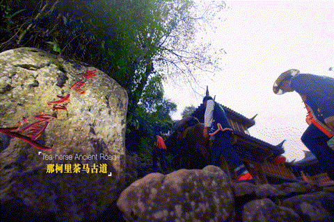 ec1e8396416170a2c968b13b52188c0a-sz_2587283