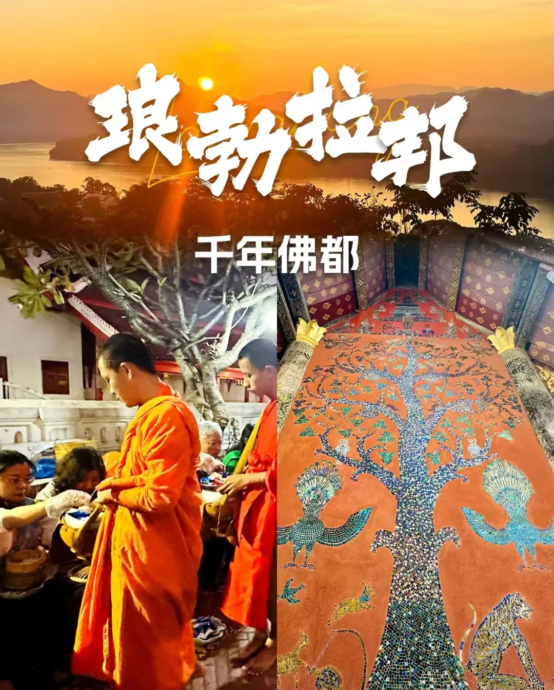 【❤️2180元起畅游四国】越南、下龙、河内、老街、南宁、昆明、河口、建水、蒙自、西双版纳、琅勃拉邦、万象、打洛(中缅边境)百年米轨+中老跨国空调旅游专列11日