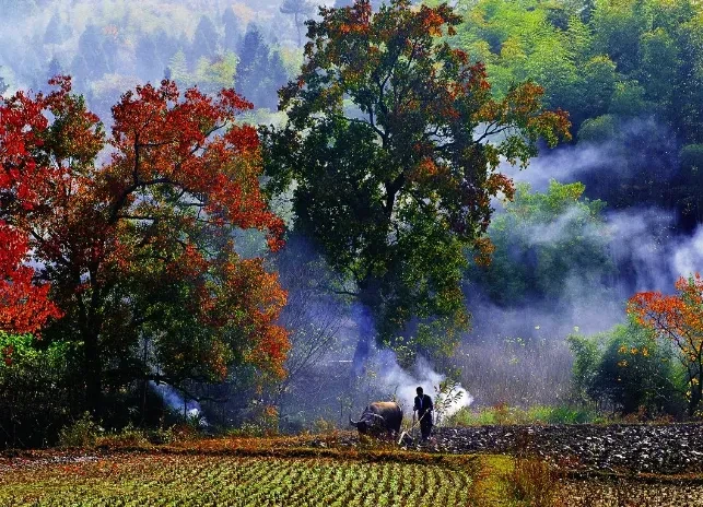 ec74c553532d0001fa24b80a9592b846-sz_831351