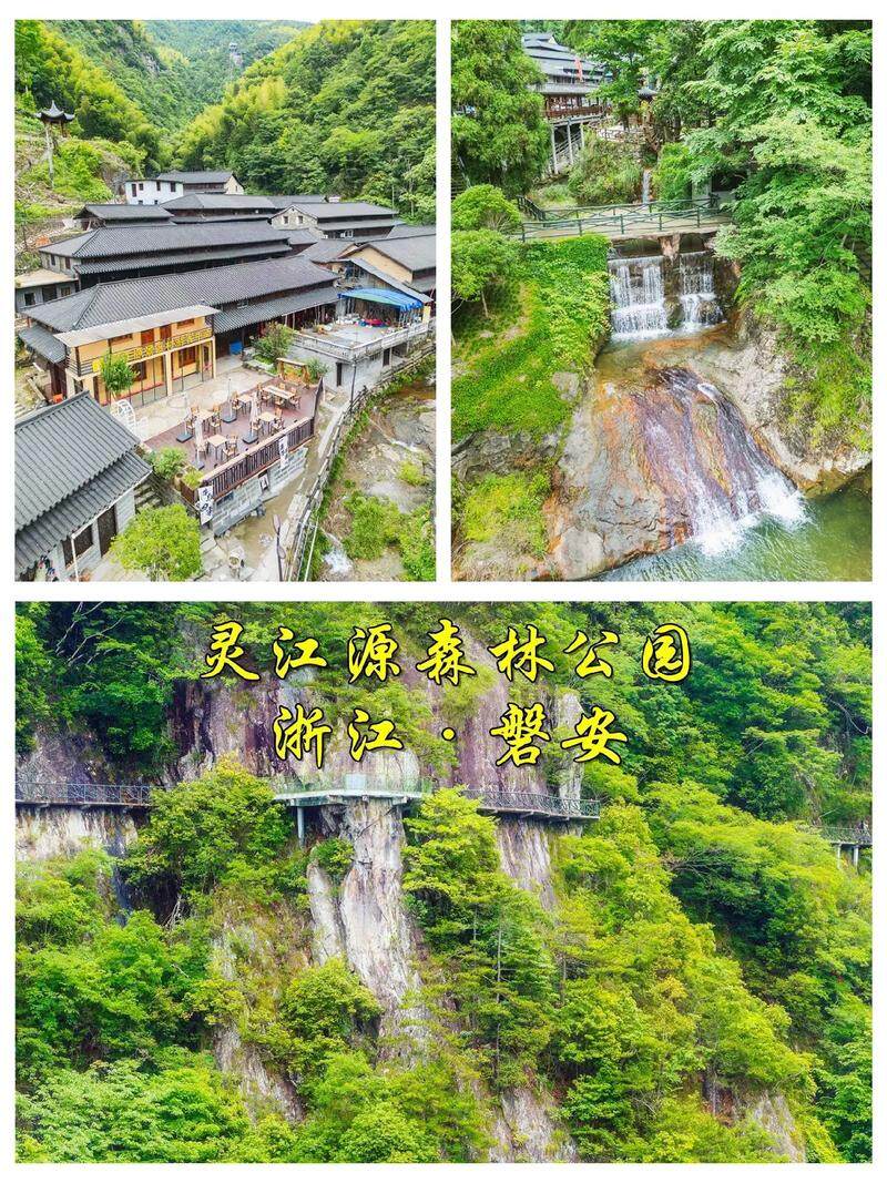 ecb5b6a136dd1797b21ada93e10f2d84-sz_275606-1