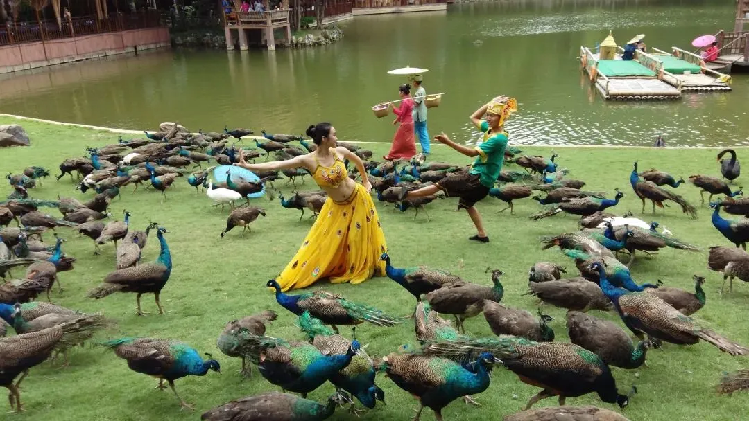 ecb9615169f336cb1512075d9415a350-sz_156629