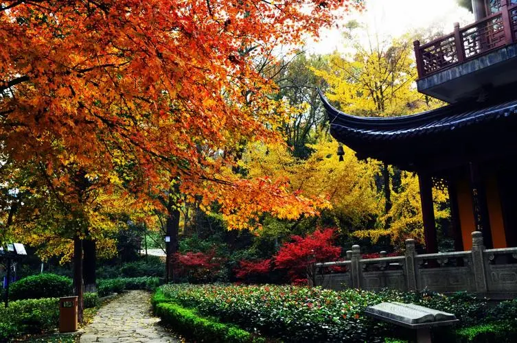 ecc9e730de5403e194b60efb93e39948-sz_126793-2