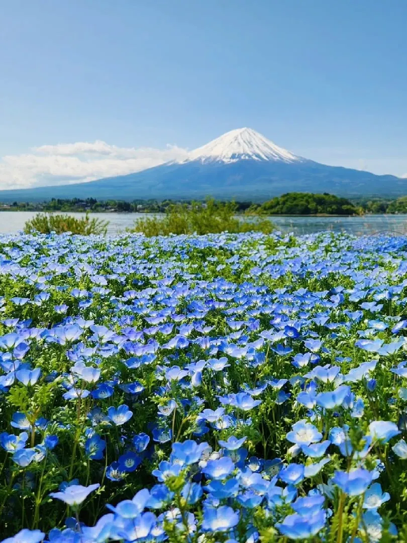 ece588f8dbd1bdb9fe20e65fa1557283-sz_383814 ece588f8dbd1bdb9fe20e65fa1557283-sz_383814