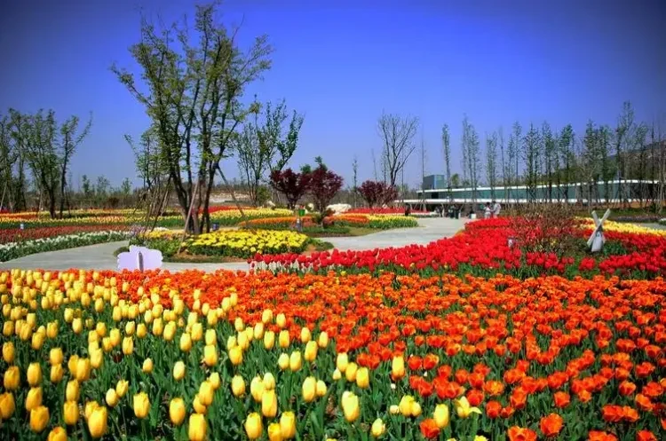 ed550f62dc4771dc3c4ca87fe4326c67-sz_406391 ed550f62dc4771dc3c4ca87fe4326c67-sz_406391