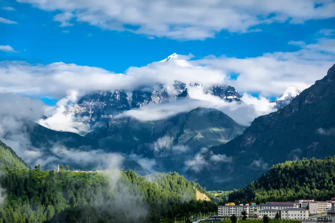 ed7a3de668b556cfb96b49d612180926-sz_2426027