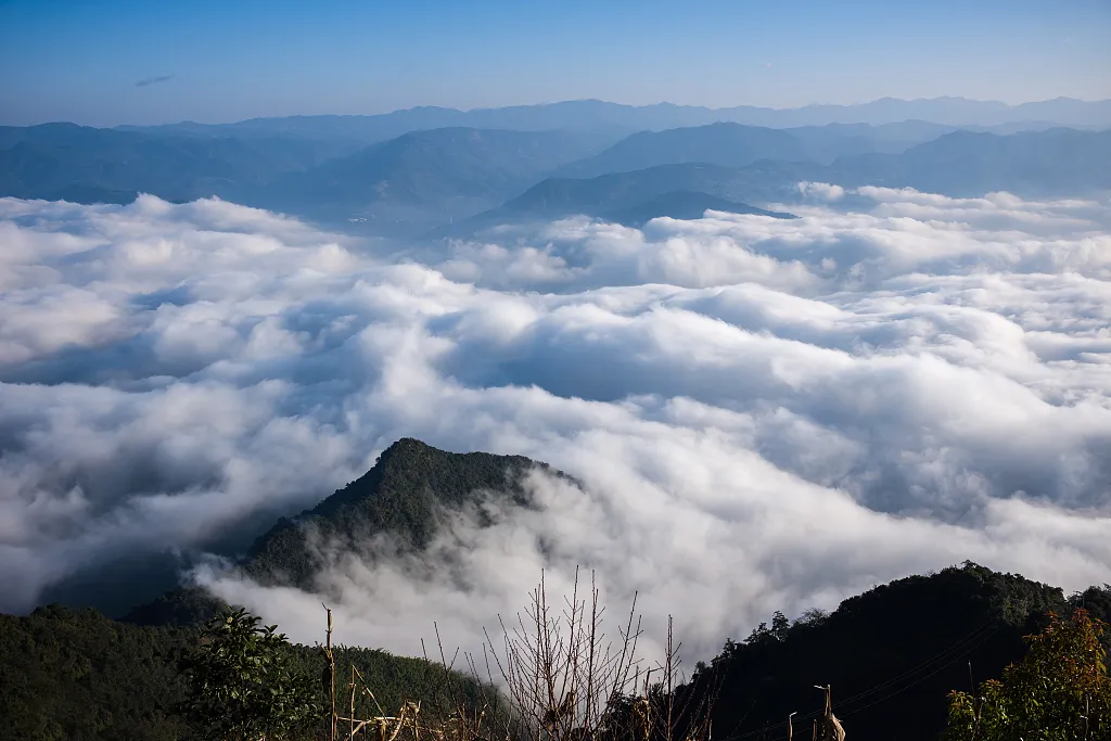 edb0498ab3053d1392e2f56ed4955f50-sz_613096 edb0498ab3053d1392e2f56ed4955f50-sz_613096