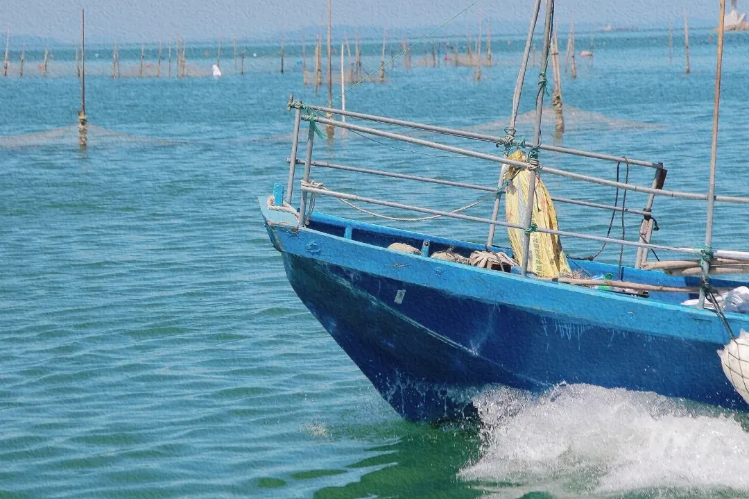 edb80c52399a5fe51f3f3e3a0468eee1-sz_470047