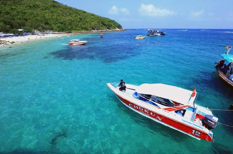 edca5a034ef900d84e11da05e45438ad-sz_68404 edca5a034ef900d84e11da05e45438ad-sz_68404