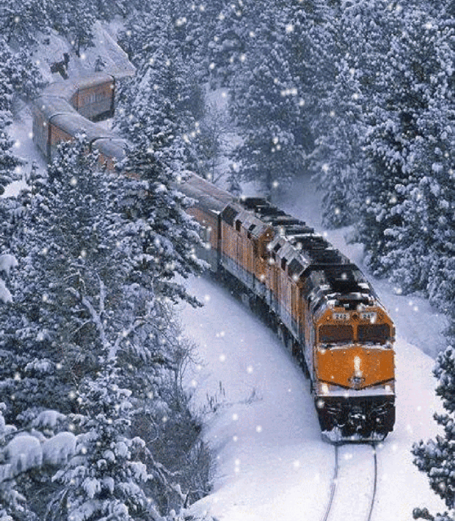 ee0975479a0f8a0674a5ba3b9e1e57b4-sz_1133653