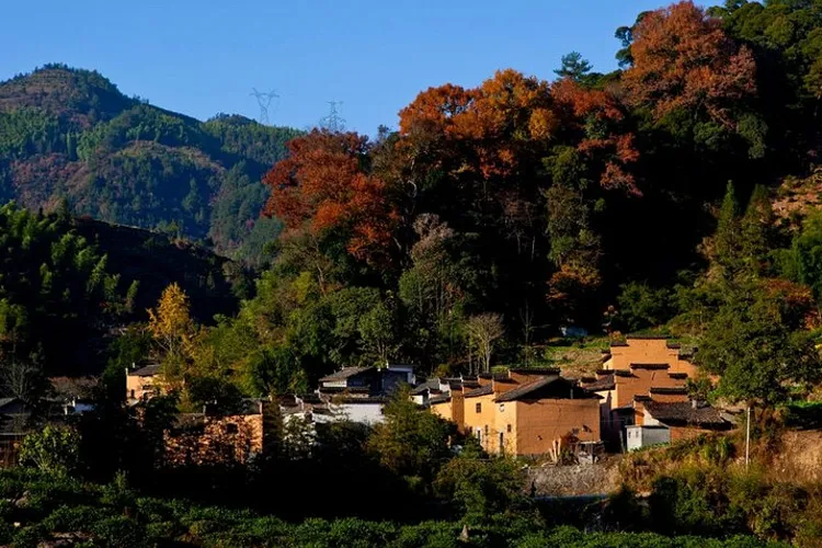 ee4a9ec4a169ecf2f057225e152f0db0-sz_488424