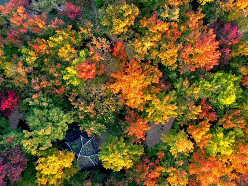 ee55b679e4239783f15ac0e456bbfa0c-sz_1113698 ee55b679e4239783f15ac0e456bbfa0c-sz_1113698