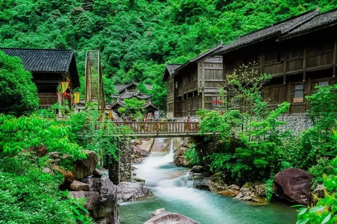 ee56008285252dd571884696599368ed-sz_255266