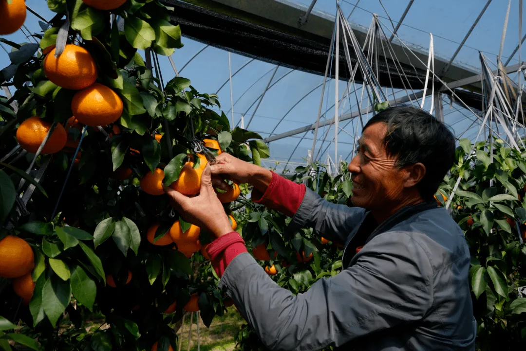 ee7638f172eb06683f0d534909b303f1-sz_627198-3 ee7638f172eb06683f0d534909b303f1-sz_627198-3