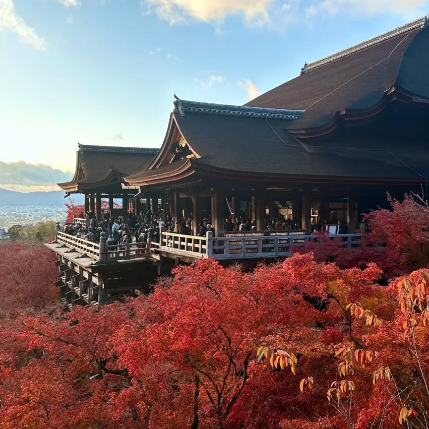 eebf7a0117e3f84eb1477775dba38228-sz_557473 eebf7a0117e3f84eb1477775dba38228-sz_557473