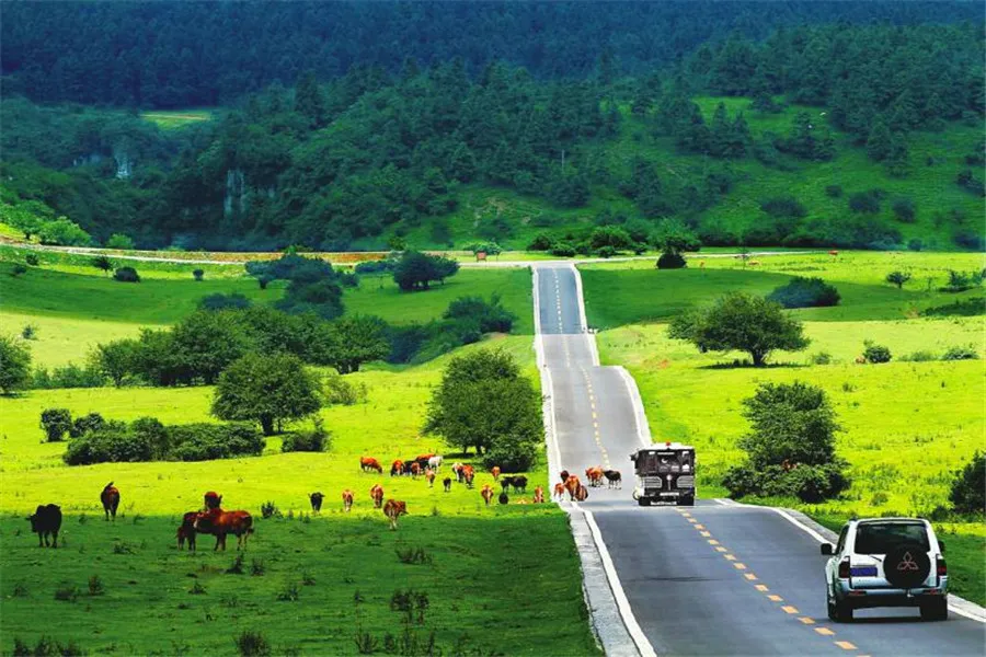 eecb55a2a50bf6e0d78e599e5efa1935-sz_212332 eecb55a2a50bf6e0d78e599e5efa1935-sz_212332