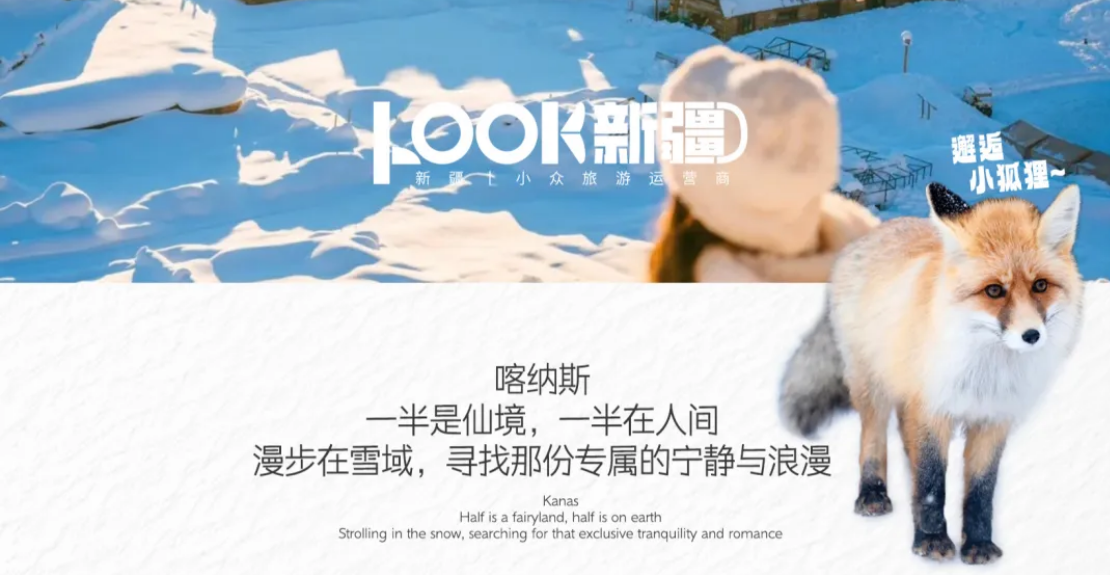 eef346a8db0daa01604f3d7f574ae3a3