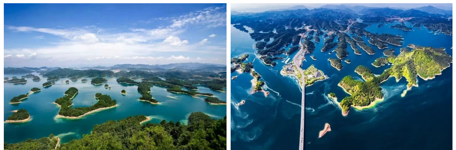 efa093a270aa428a9abee901769e80e6