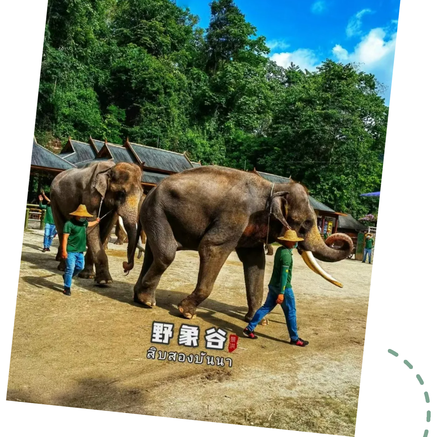 efc3d1c962588a42195ae01bcbec269a