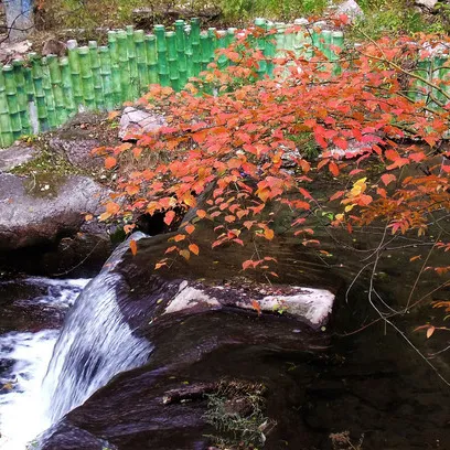 efe705bfd9c597831ed8f27ebae9406e-sz_329064 efe705bfd9c597831ed8f27ebae9406e-sz_329064