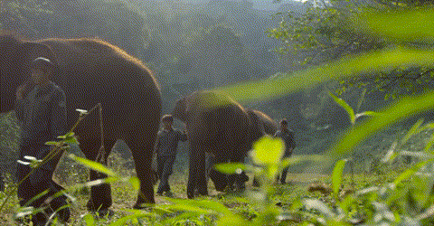 efee9b85269fa3d8bf0911539d975187-sz_1808751