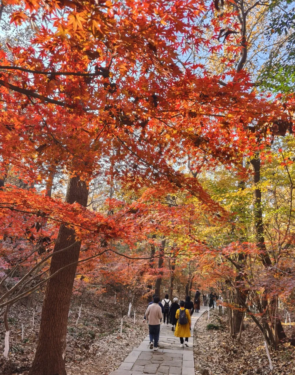 f01f7969e3b0e40eb0369b7a3d57b228-sz_2725007 f01f7969e3b0e40eb0369b7a3d57b228-sz_2725007