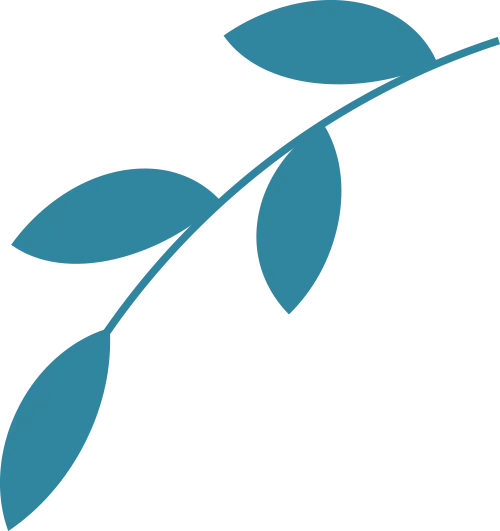 f024d83301eaed8081a55cb8119da4be_sz-23666