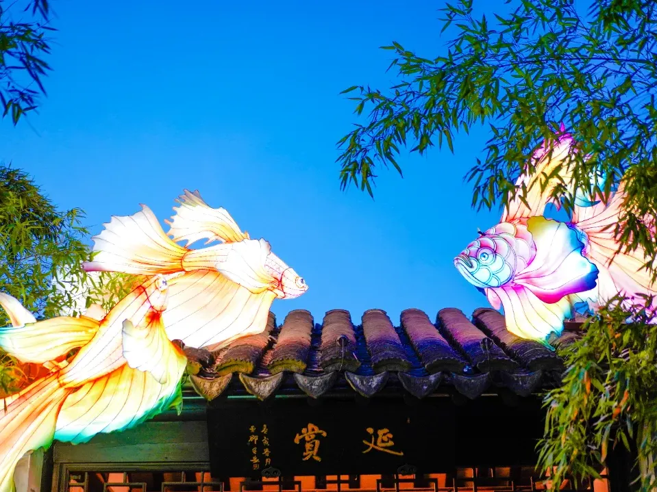 f0ab7ec4a67ad77c02a34062e7e75646-sz_1106179