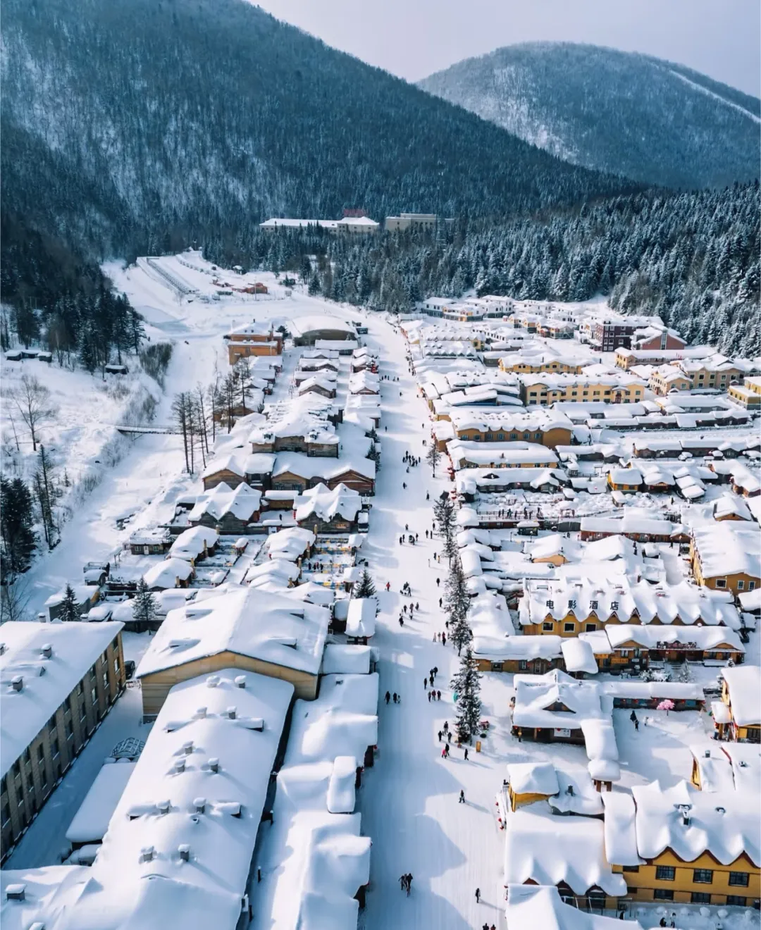 f0ec758517963a41ddd8134fc348fa2d-sz_652832