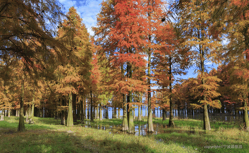 f0f8660613a5051405420236b9a0fc92-sz_985033-1 f0f8660613a5051405420236b9a0fc92-sz_985033-1