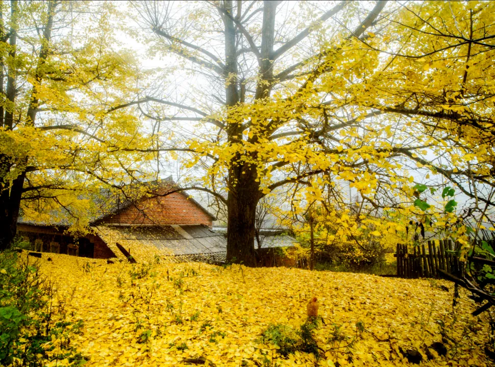 f129f9261816c59c0da87369269c0e4c-sz_3966646-1 f129f9261816c59c0da87369269c0e4c-sz_3966646-1