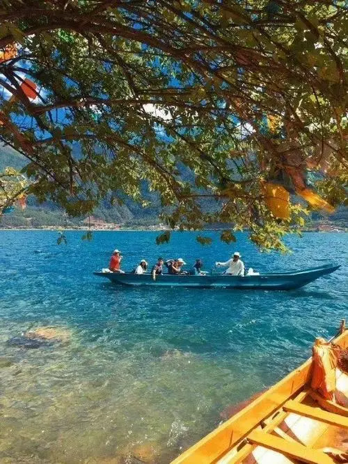 f14f3be896c8a3a8ad82e2396d9d3162-sz_98047