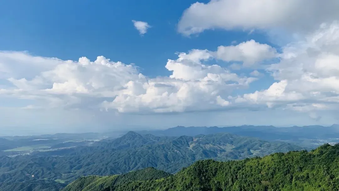 f17a0950b6ac36fbff73a407b98d900f-sz_80784