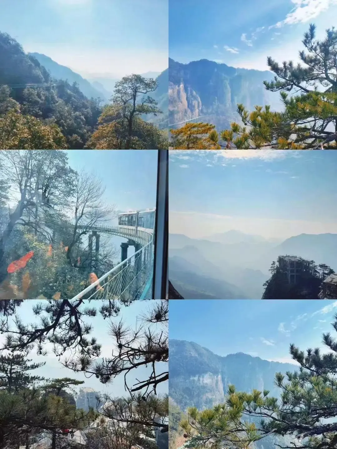 f180a031fd85477994f18551a6932979-sz_293283-1 f180a031fd85477994f18551a6932979-sz_293283-1