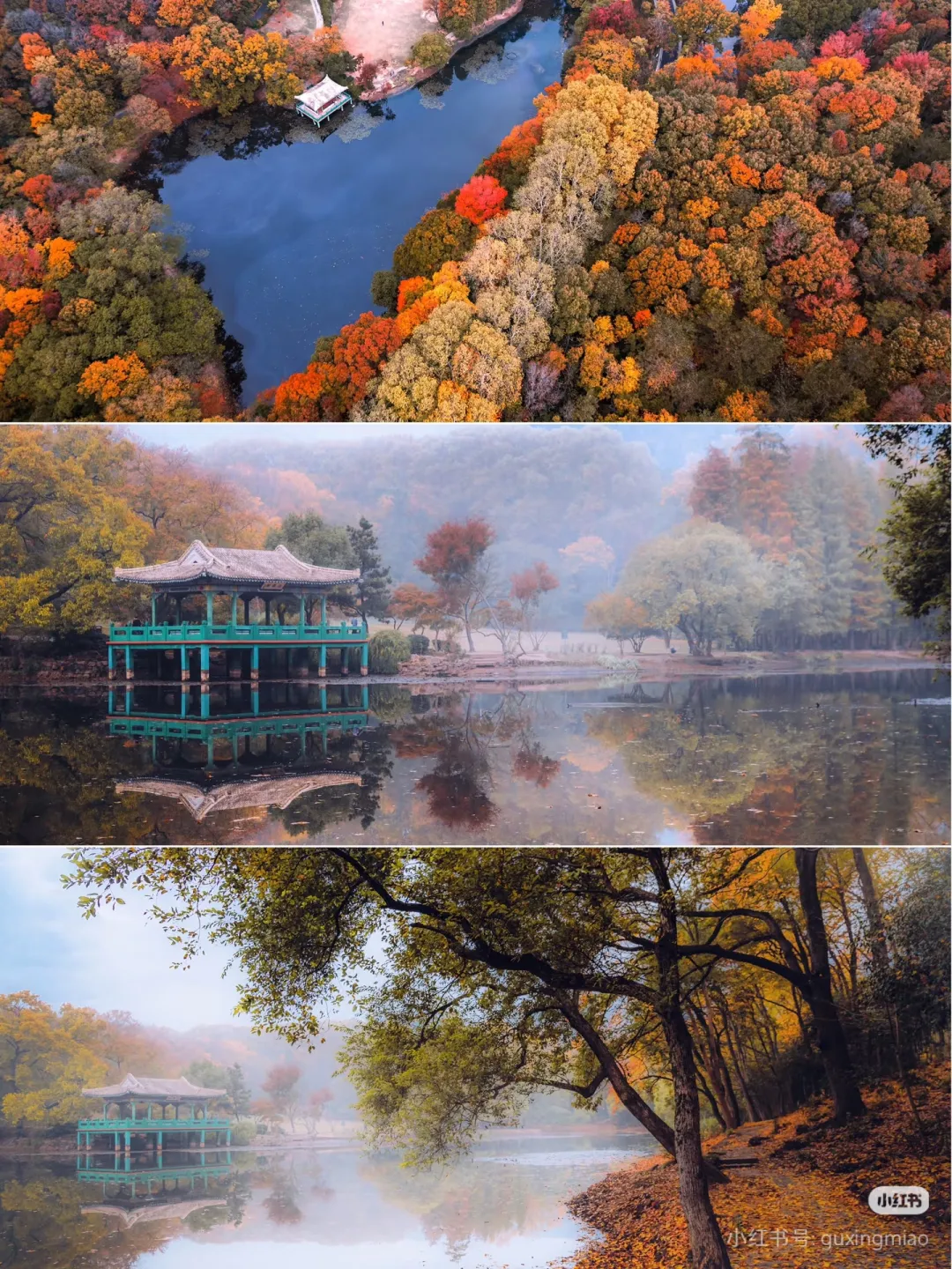 f199d1ef267d080efe0115d5f36b13a7-sz_2205324