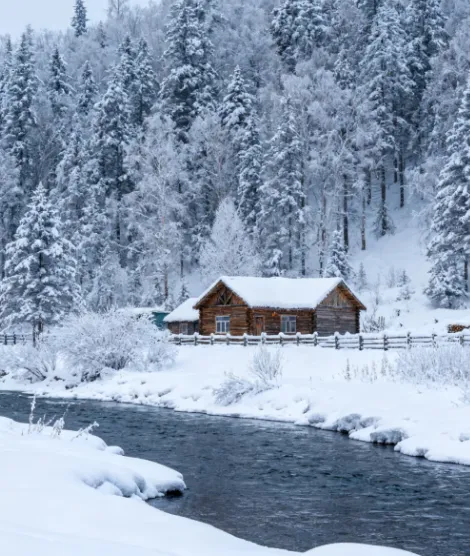 f1a44db7345a32fcfa419a6d86b7f5aa-sz_620965