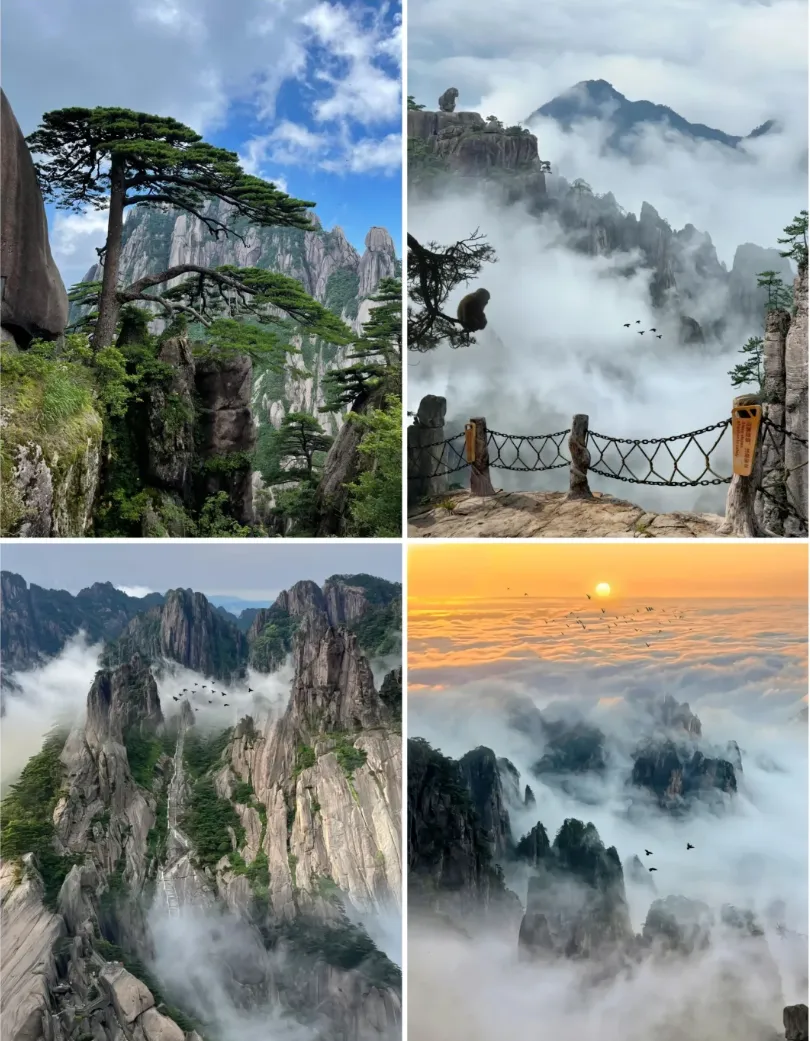 f1f7e2321833cad74cd52a099c174db2-sz_1330905