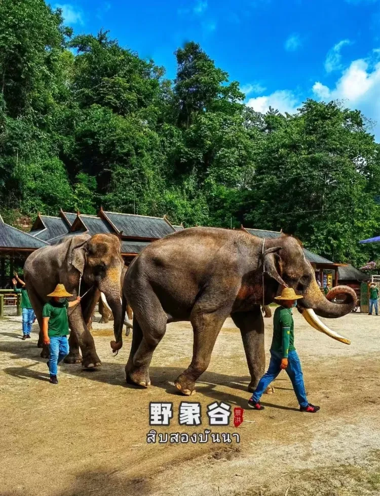 f21cbd17c4646f050a9184ffe7530770-sz_4499260 f21cbd17c4646f050a9184ffe7530770-sz_4499260