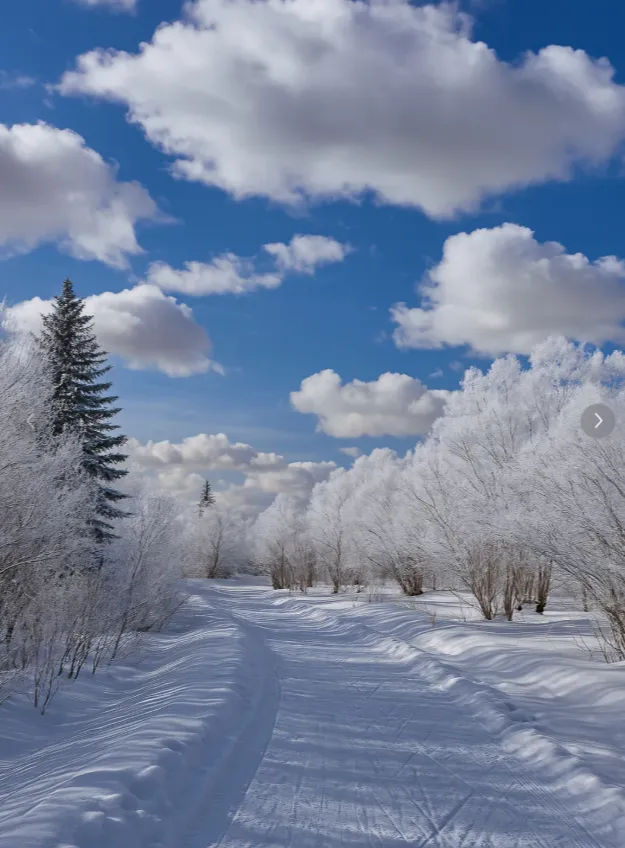 f230cee3548e4b164e38c921fd6ebddd-sz_816511