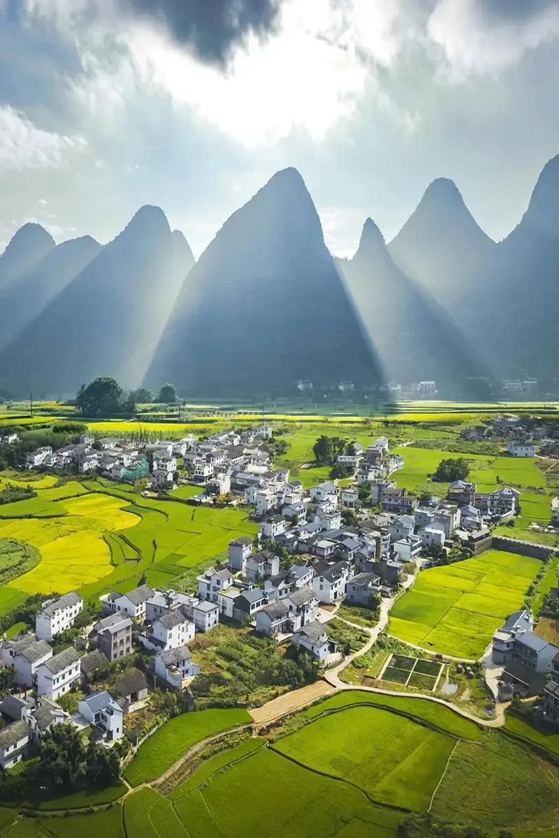 f237c247bad797e2da326216a29ab6ab-sz_164529