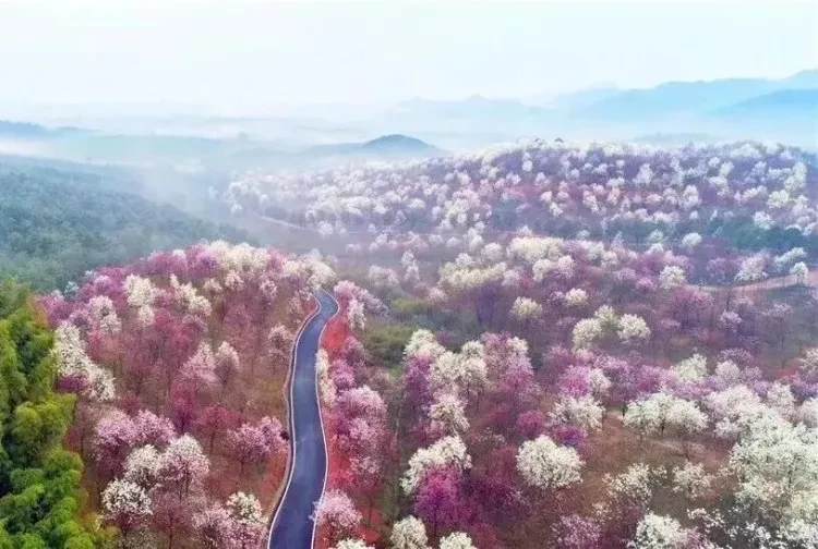 f2ab667ab52ad6b8b477d5c95522eca1-sz_109349 f2ab667ab52ad6b8b477d5c95522eca1-sz_109349