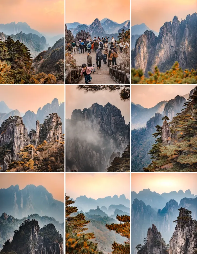 f2b8f731deef94ca5a9b7cbdea817631-sz_1424897