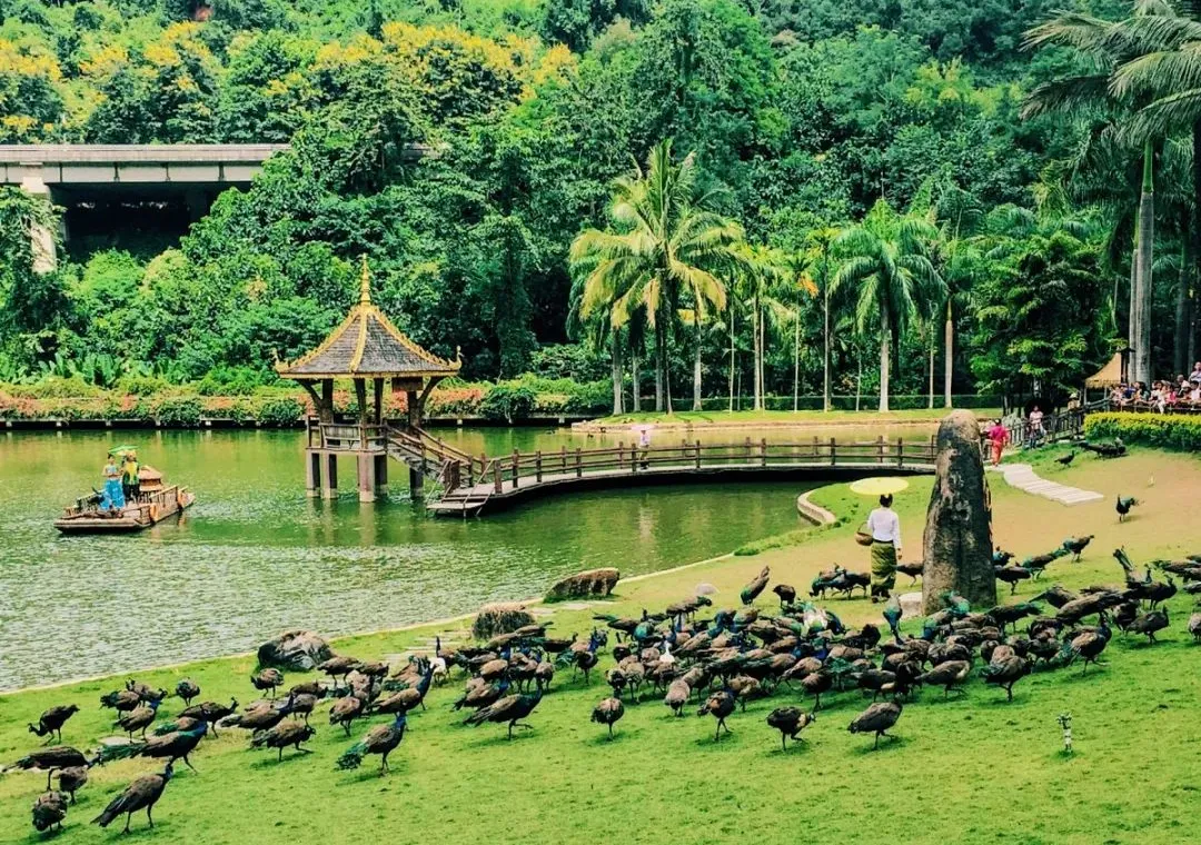 f2c66bfdf2cb879e75bc38c021c7fff9-sz_295612