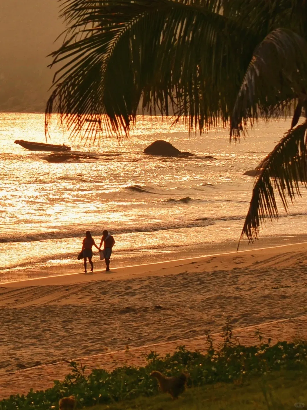 f2e0b157b8ffa8c9cddab958b8a93c55-sz_2171192