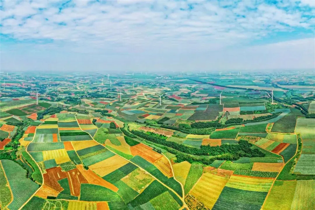 f2e4fe93dbecd47f05d40b12d432b68d-sz_160323-5 f2e4fe93dbecd47f05d40b12d432b68d-sz_160323-5