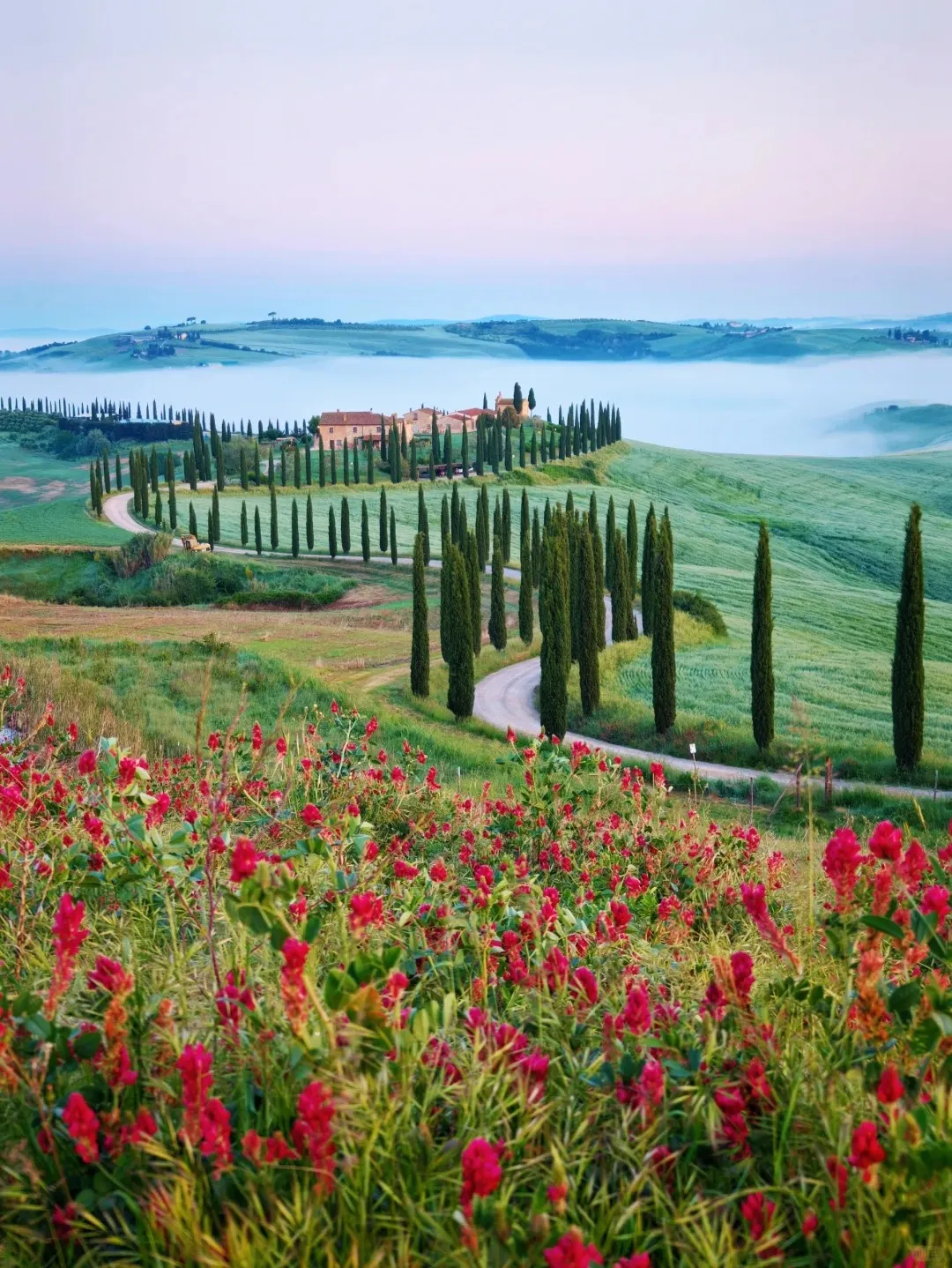 f31be7ac0250f673d5ae1f82aea983e7-sz_467454