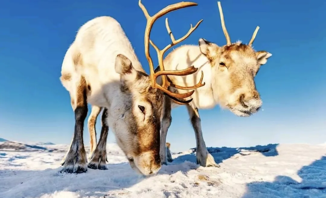 f3477f6066aec8189f3761d02c3bd0d2-sz_1202226 f3477f6066aec8189f3761d02c3bd0d2-sz_1202226