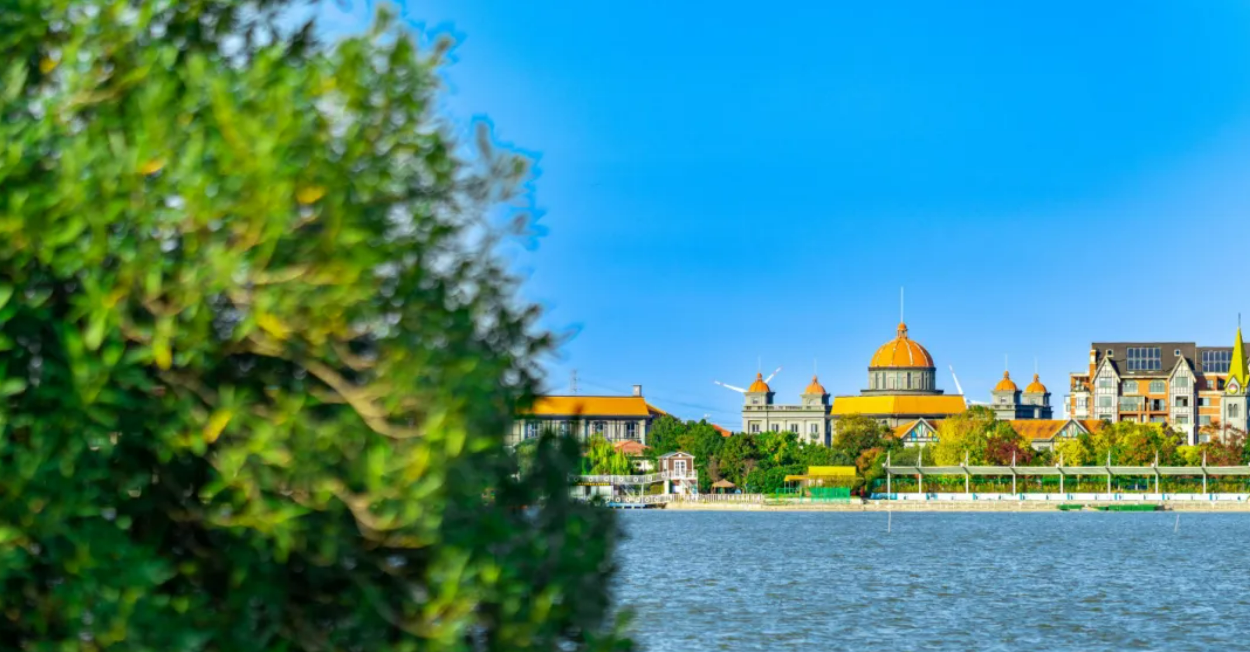 f34d05b18842fc8e4efc94bfe5eac711