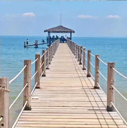 f35be3429337ae2f7c5324d122a700d5-sz_170203