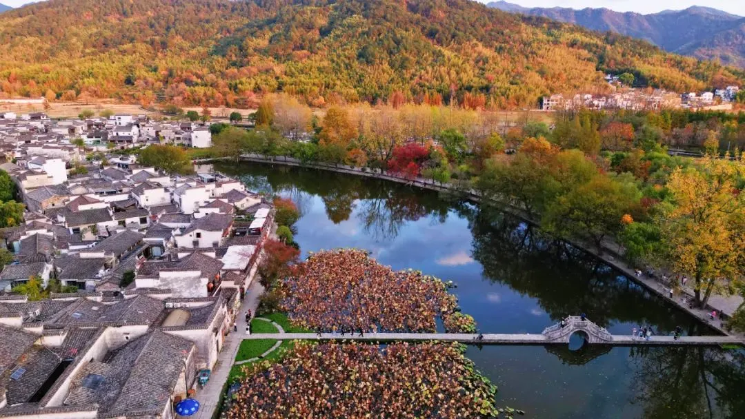 f3a2ffdb6f6b409cbcdcd04c031b6b6a-sz_184189